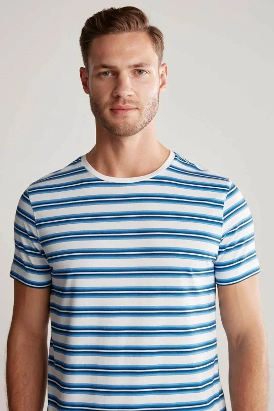 Hemington - Beyaz Lacivert Çizgili Bisiklet Yaka Saf Pamuk T-Shirt (1)